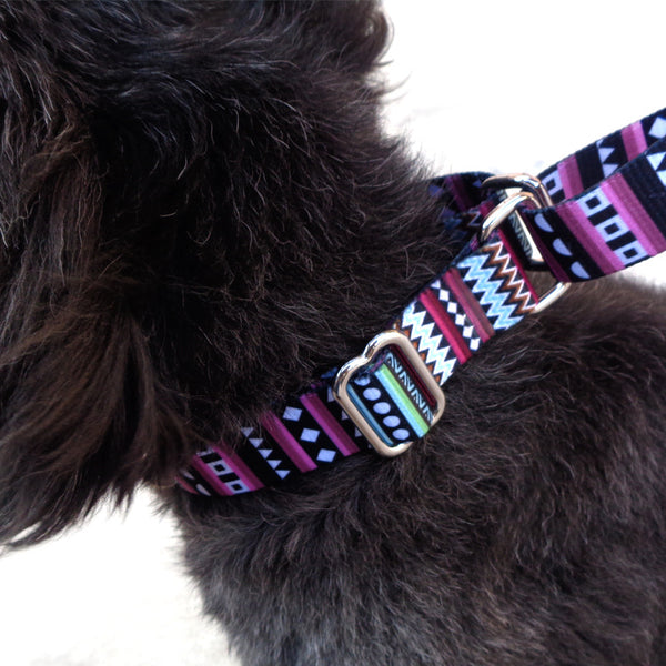 Collar Acolchado para Perros Pomi - Collar Cómodo para Paseos
