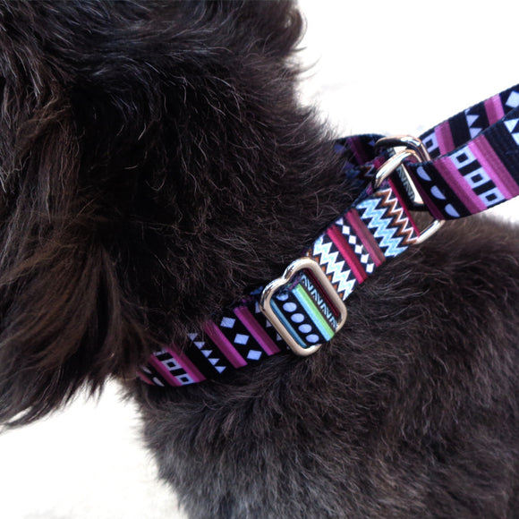 Collar Acolchado para Perros Pomi - Collar Cómodo para Paseos