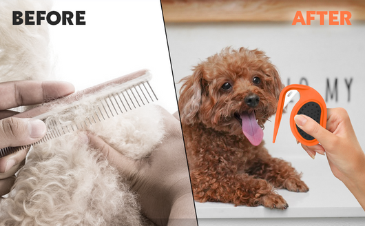 Peine Desanudador Profesional para Perros y Gatos - Elimina Nudos y Pelo Suelto - Image 13