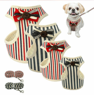 Chaleco Transpirable para Perros - Diseño Cómodo y Elegante - Image 3