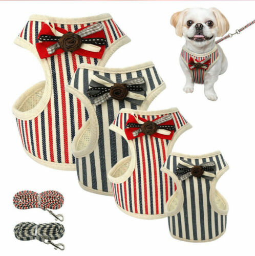 Chaleco Transpirable para Perros - Diseño Cómodo y Elegante - Image 3