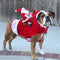 Disfraz Navideño para Perros - Papá Noel en Trineo