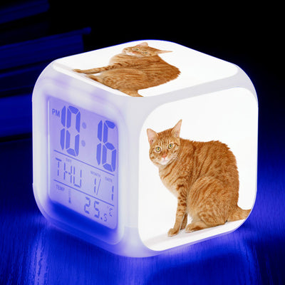 Reloj Despertador Cuadrado Multicolor para Gatos - Image 40