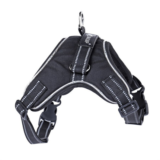 Collar Luminoso para Perros - Image 7