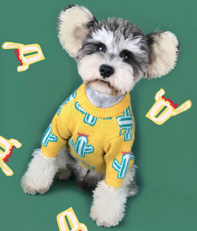 Suéter Cactus para Mascotas - Image 10