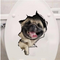 Perro