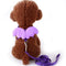 Morado M