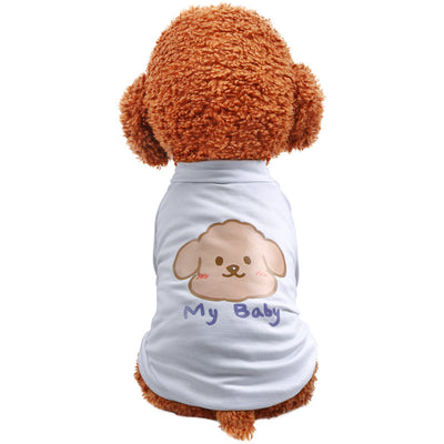 Poncho Impermeable Arcoíris Transparente para Mascotas - Image 8