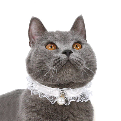Anillo de Boda para Gato con Campana - Diseño Encaje Negro y Blanco