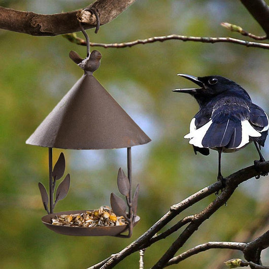 Comedero para Pájaros de Hierro Forjado Americano - Image 4