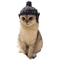 Gorro de Lana Buddha para Gatos - Disfraz Acogedor