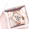 Set de Reloj de Cuarzo con Esfera de Mariposa