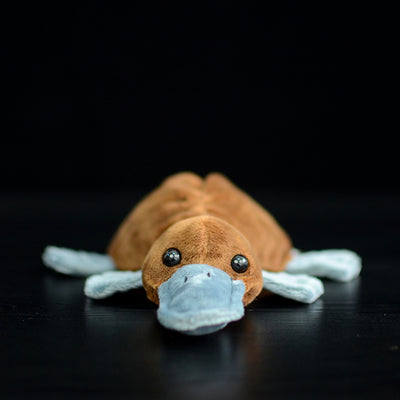 Peluche Ornitorrinco Adorable para Niños - Image 3