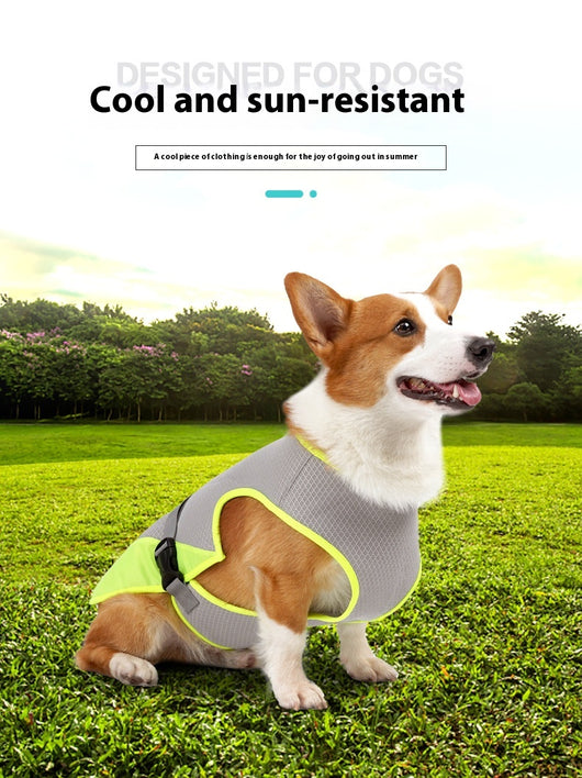 Chaleco Refrigerante para Perros - Ropa Transpirable Antiinsolación - Image 7