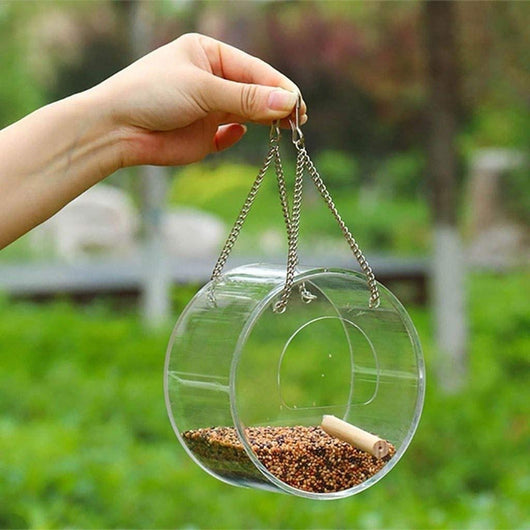 Dispensador Acrílico para Alimento de Aves - Image 13