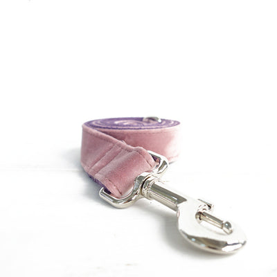 Correa para Perro con Anillo Ajustable de Cordón - Image 8