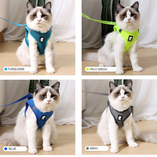 Arnés Antitirones para Gatos con Correa de Seguridad - Image 6