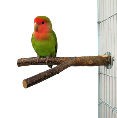 A green and red lovebird perches on a natural wood branch perch, mounted inside a white wire bird cage. - Image 10