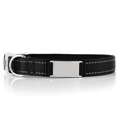Collar de Perro Personalizado de Nylon - Image 22