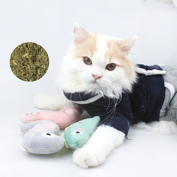 Muñeco de Peluche Suave y Acogedor