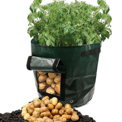 Bolsa de Cultivo en Tela PE para Huertos y Jardines