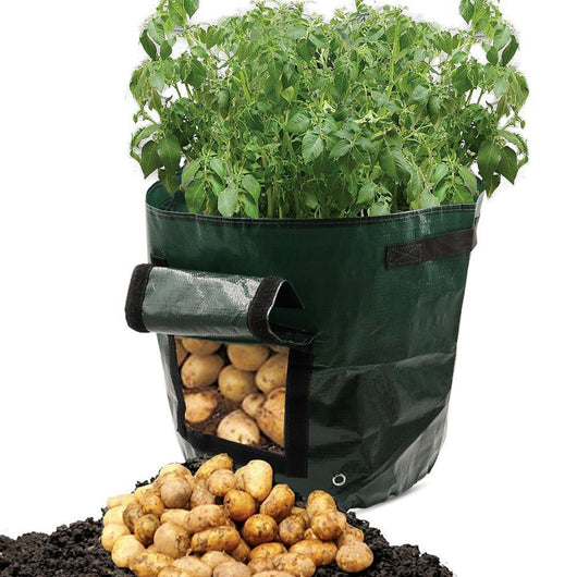 Bolsa de Cultivo en Tela PE para Huertos y Jardines
