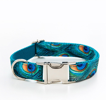 Collar Personalizado para Perro con Letras - Estilo y Identidad - Image 15