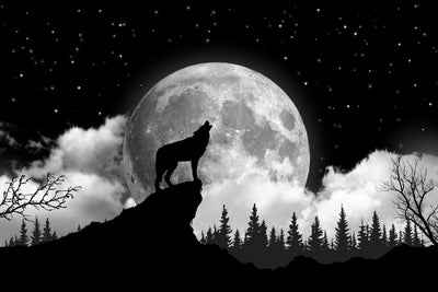 Black and white tapestry with a wolf howling at a full moon, silhouetted against a starry night sky and forest.