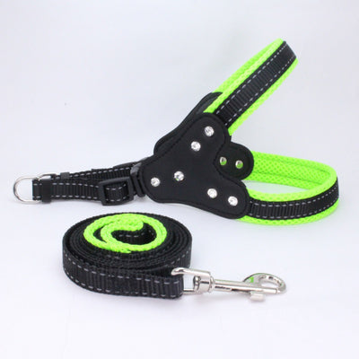 Arnés Triangular de Pecho para Perros - Image 8