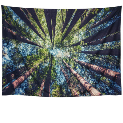 Printed tapestry featuring a low-angle view of tall redwood trees with green foliage against a bright blue sky.