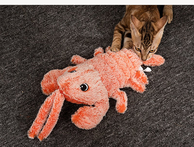 Juguete Dental Eléctrico Recargable USB con Simulación Realista para Mascotas - Image 24