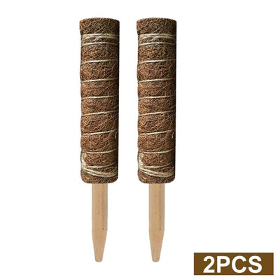 Palitos de Rábano Verde y Coco - Image 16
