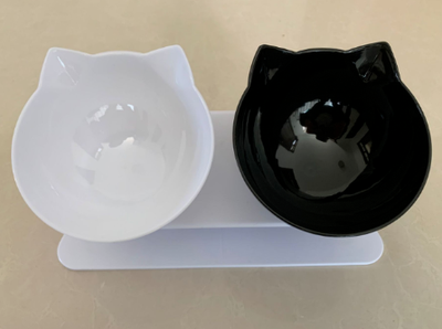 Comedero Inclinado Transparente para Gatos con Boca Oblicua - Image 14