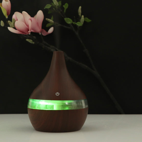 Purificador de Aire y Humidificador Portátil USB
