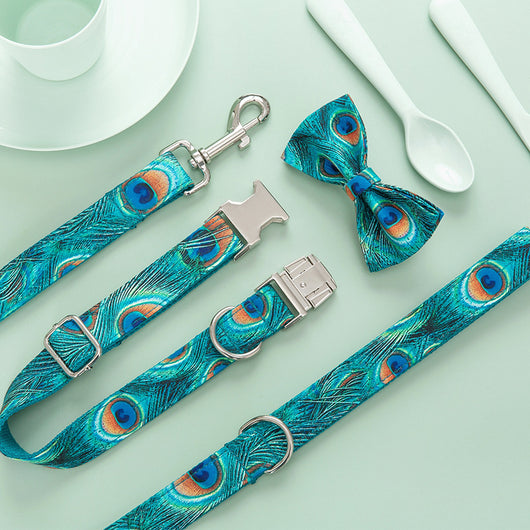 Collar Personalizado para Perro con Letras - Estilo y Identidad - Image 5