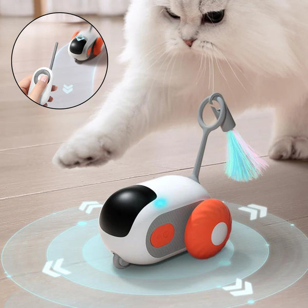 Auto Interactivo para Gatos con Control Remoto y Carga USB
