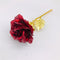 Flor Desnuda Roja
