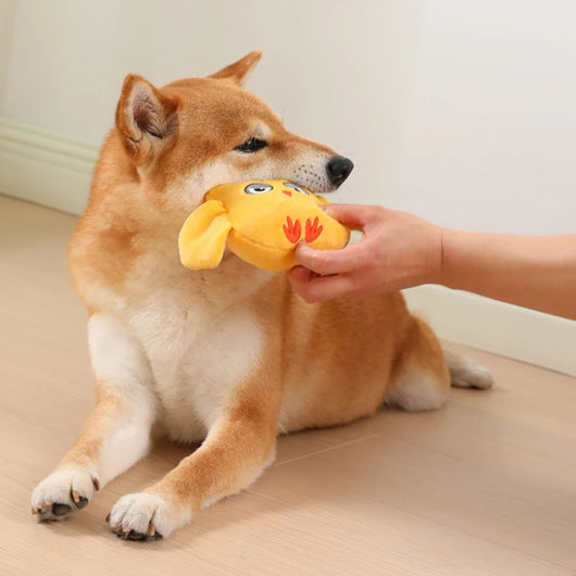 Juguetes Chirriantes para Perros - Peluches Resistentes a Mordidas para Mascotas Pequeñas y Grandes - Image 9