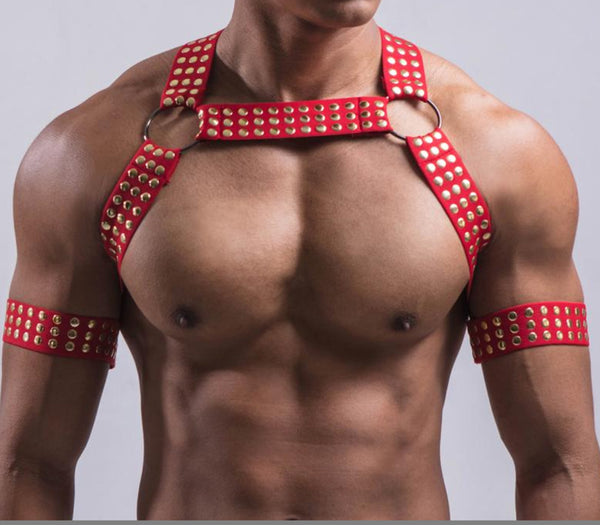 Conjunto de Arnés Pectoral Premium