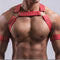 Conjunto de Arnés Pectoral Premium