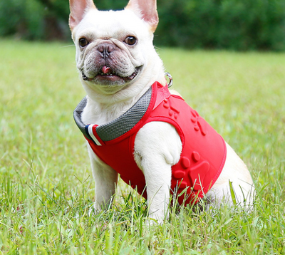 Arnés para Perro con Cuerda de Arrastre - Image 19