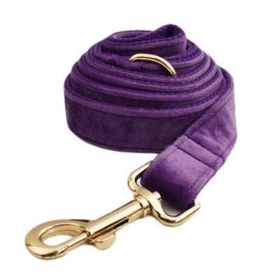 Collar de Terciopelo para Perros - Comodidad y Estilo - Image 15