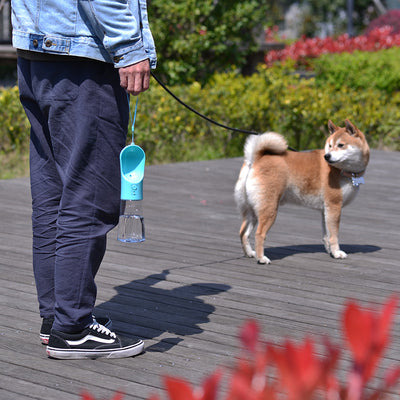 Bebedero Portátil para Perros - Vaso de Viaje Plegable