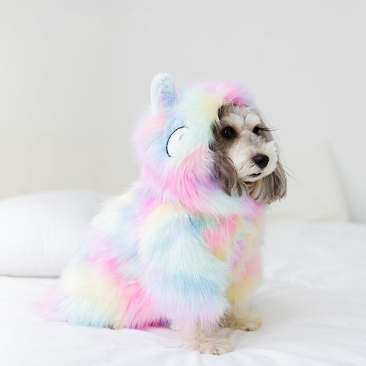 Chamarra Arcoíris para Mascotas Pequeñas - Image 7