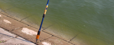 Soporte de Caña de Pescar en Aluminio Reforzado para Mar - Image 9