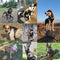 Correa Reflectante para Entrenamiento de Mascotas al Aire Libre