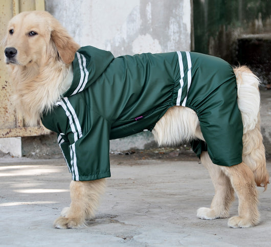 Impermeable para Perros Grandes y Medianos - Image 13