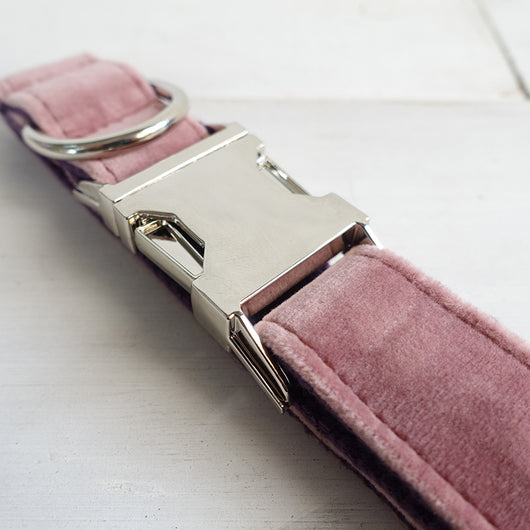 Collar Rosa para Perro - Image 5