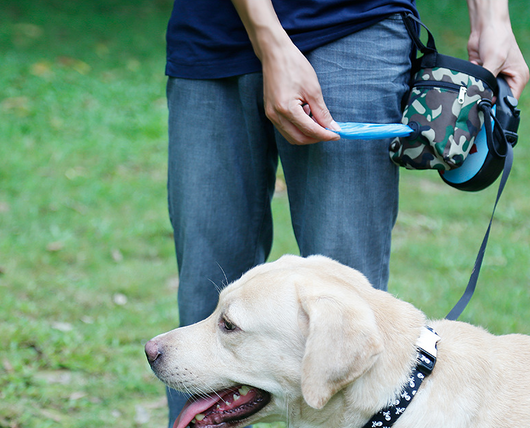 Mochila Táctica Multiusos para Mascotas - Image 10