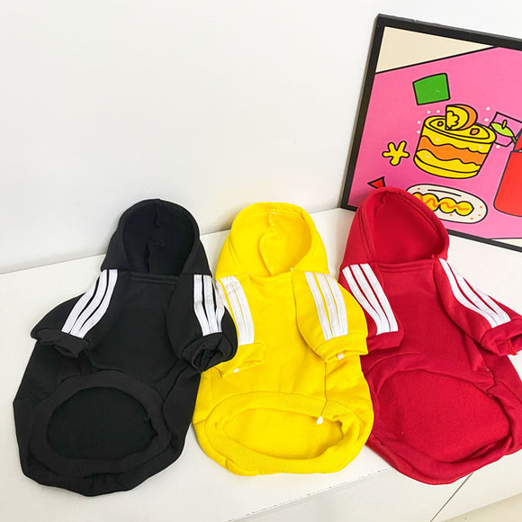 Ropa de Abrigo para Perros - Diseños Adorables Otoño e Invierno